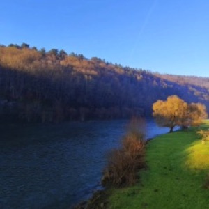 De la vallée de la Semoy à Charleville-Mézières, en hiver et avec du soleil ☀️ Chose rare et particulièrement appréciable 😎.#ardennes #winter #landscape